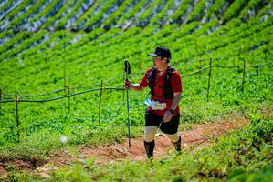 BIB: 
                            <button type="button" onclick="openModal(19164233)" class="btn btn-primary btn-sm float-right btn-popup" data-toggle="modal" data-target=".modal-high-quality">
                        <i class="fas fa-shopping-cart"></i> Add to Cart
                    </button>
                                            <button type="button" onclick="isThisMe(19164233, true)" class="btn btn-success btn-sm float-right btn-popup btn-isme hidden" data-toggle="tooltip" data-placement="bottom" title="นี่คือรูปของคุณใช่ไหม คลิกที่นี่เพื่อเอาเข้าอัลบั้ม">
                        <i class="fas fa-plus"></i> Add to album
                    </button>
                    <button type="button" onclick="isThisMe(19164233, false)" class="btn btn-warning btn-sm float-right btn-popup btn-isnotme hidden">
                        <i class="fas fa-ban"></i> Remove from album
                    </button>